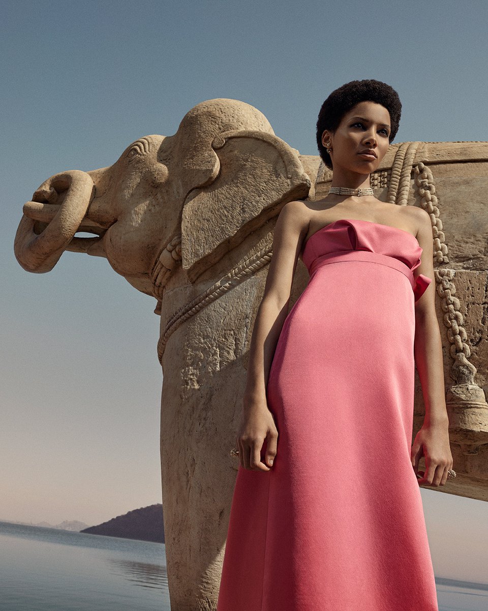 Dior tweet media