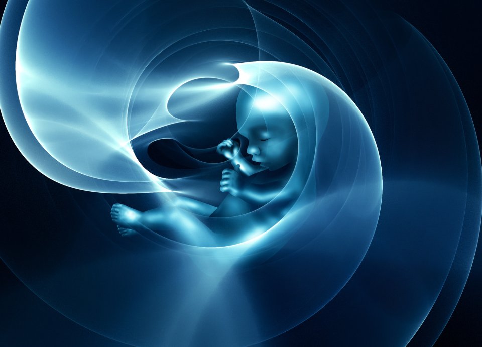 awakeningsigns's tweet photo. You’ll be much happier and much more at ease with yourself when you ditch your old baggage and feel your spirit naturally shift to a higher vibration with joy and lightness with optimum Law Of Attraction power too!
https://t.co/tKYYA3vyDR
#PreBirth #SpirituallyAware https://t.co/CdEP5RqZbb