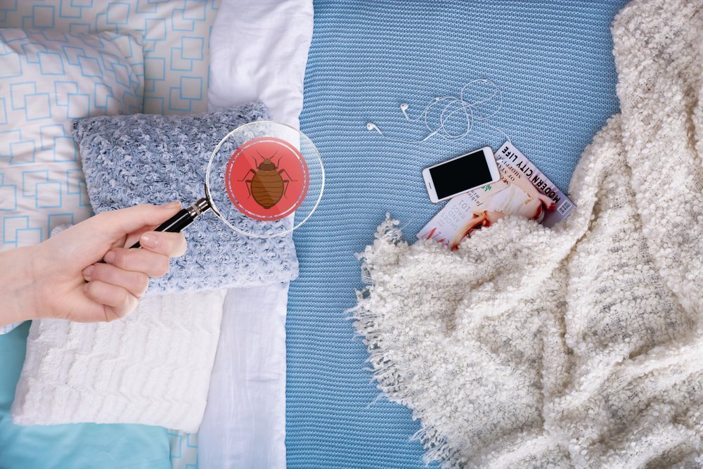 FrontinoPest's tweet photo. Bed Bugs have been increasing in number in the United States since the turn of the century due to increased travel. Early detection is critical since there is no foolproof way to keep them out of your home. https://t.co/b7vkDvnAUQ