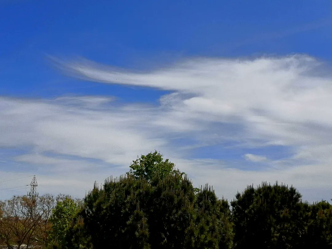 meteoecovisual's tweet photo. Más #cielos de este jueves desde #santboi con #cirrocúmulos, #altocúmulos #lenticulares, #cirrus #espisatus
#santboidellobregat
#BaixLlobregat
#meteofoto #cielo #nube #nubes #meteo #meteorología
#observadormeteorologico https://t.co/uJzzo7yDLA