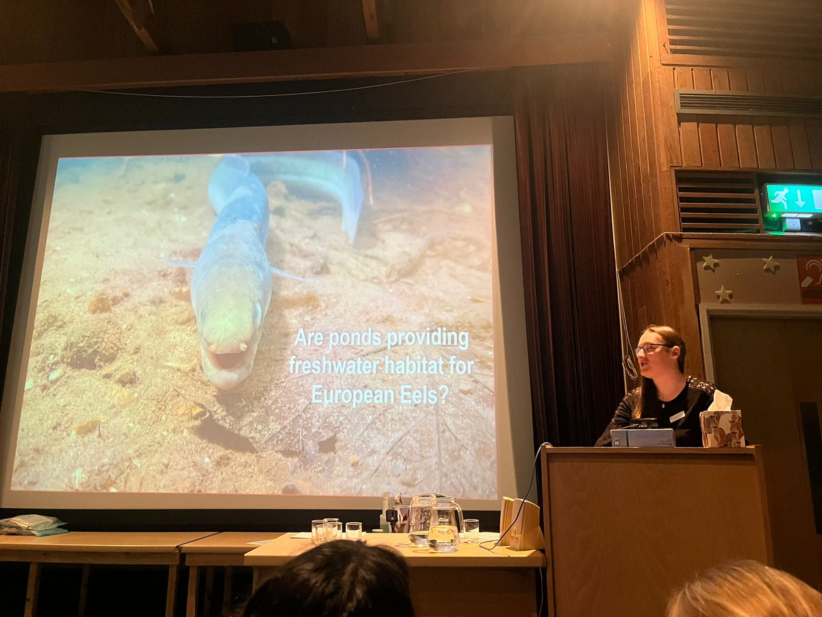 Had a great time talking about how cute Eels are @WWTconservation Research Day! And also about how they use floodplain ponds (but mostly about why they are cute). #WWTResearch Well done to everyone who presented and thanks to everyone who organised today!