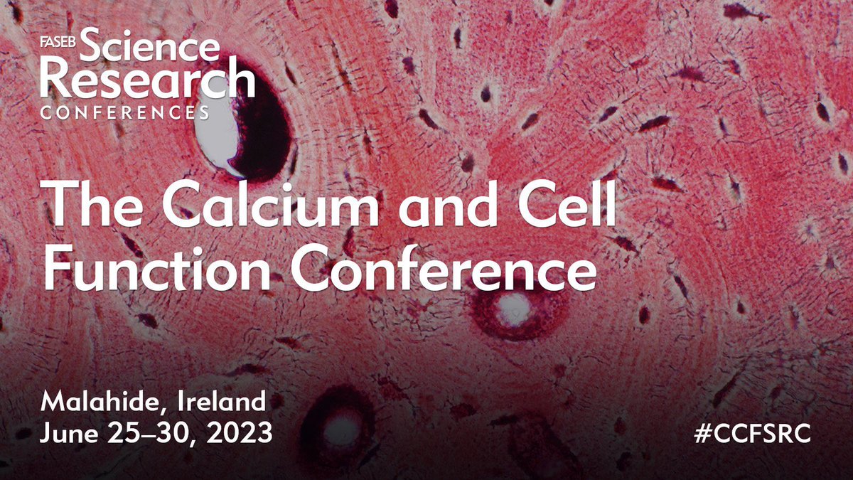 ZhouLaboratory's tweet photo. #SaveTheDate: Talk #CalciumSignaling #TRPchannels #Cancer & more at @FASEBorg's Calcium & Cell Function Conference in Ireland, 6/25-30.#CCFSRC
Abstracts Due: Extended to May 7th
Info & Reg: https://t.co/O8CjOuWvZ1
Co-Chairs: @TrebakM & @ZhouLaboratory
Keynote: @NelsonLab1 https://t.co/cj1OHhPEBC