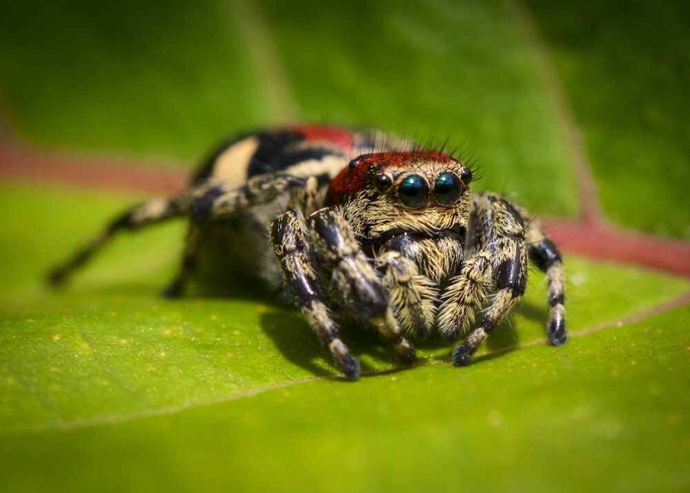 Martin Taylor tweet media