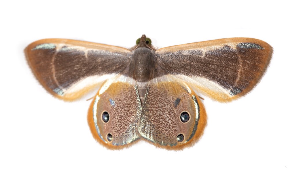 Martin Taylor tweet media