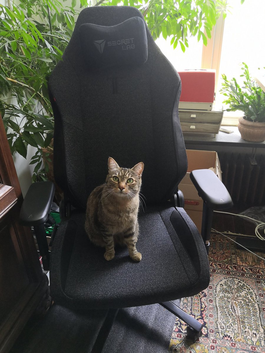 Ich wollte mal ein Foto von meinem setting posten. 
Ist das so richtig? 

#secretlab <a href="/secretlabchairs/">Secretlab</a> #werbung