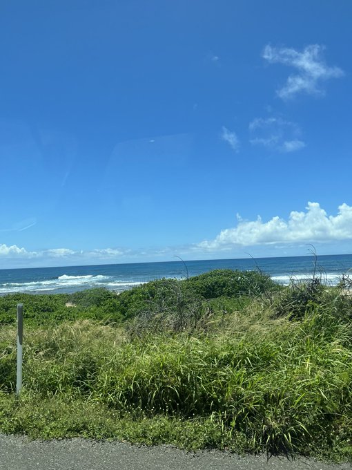 some pictures from hawaii 🏝 my birthday was a dream https://t.co/on222Mc5bB