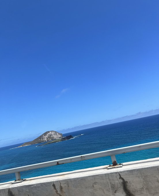 some pictures from hawaii 🏝 my birthday was a dream https://t.co/on222Mc5bB