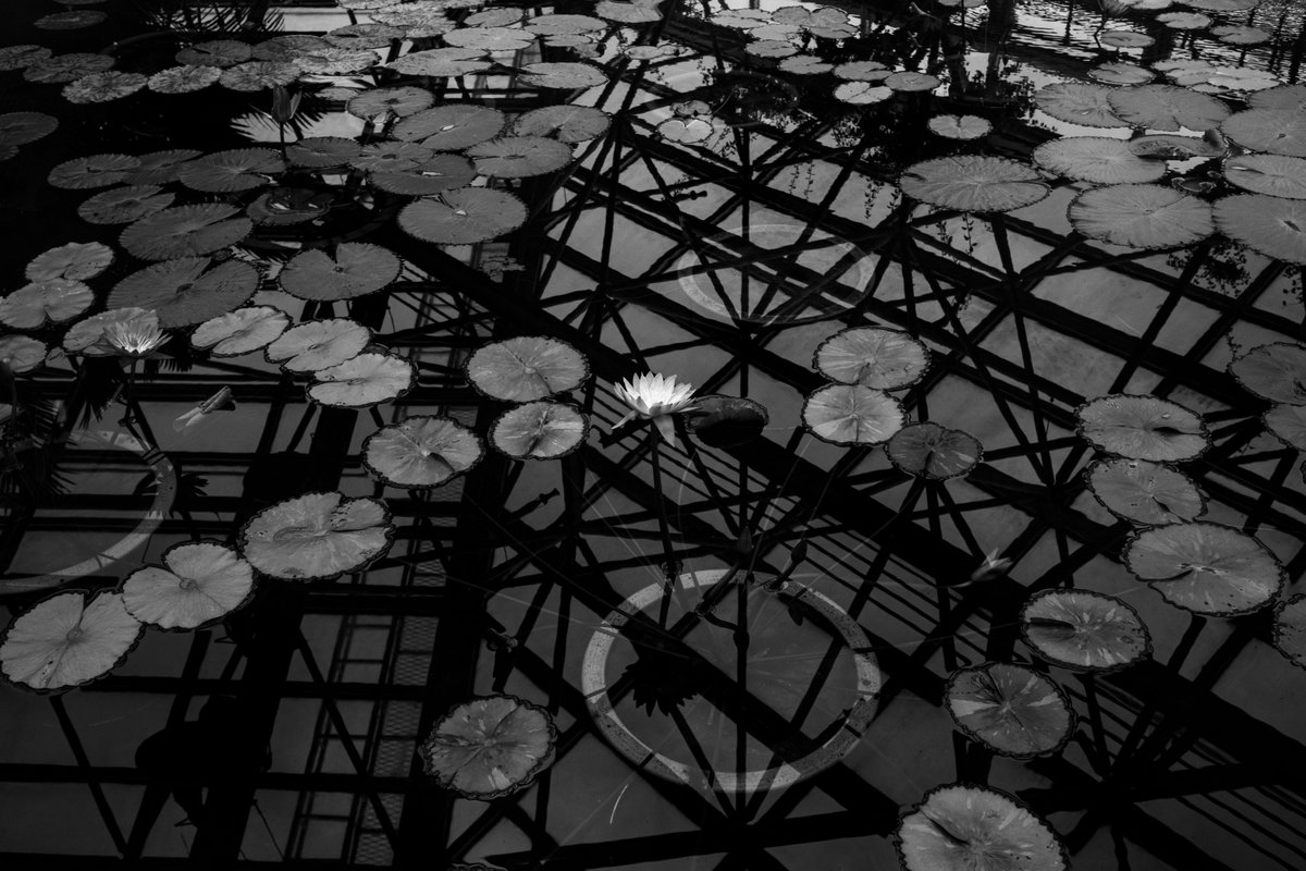 almightygenera1's tweet image. 