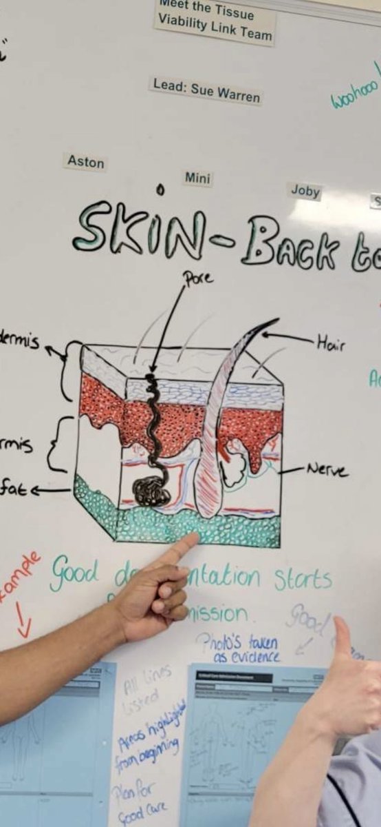 AicuLri's tweet image. Dr Dinesh &amp;amp; Sister Aston presenting ‘Back to basics’ on preventing pressure sores &amp;amp; moisture lesions on the LRI ITU! Fantastic drawings Aston!! @UHLTVTeam @ItapsUhl @TeamItaps @Leic_hospital #harmfreecare