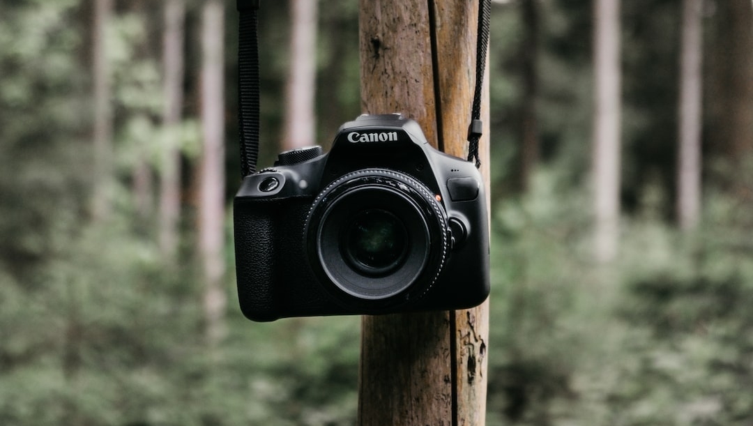 🌴📷 Capture the beauty of Queensland's landscapes and communities this long weekend and enter our #PhotoCompetition! We're looking for photos that showcase the theme #CreatingHealthierCommunities &gt; bit.ly/40M91yY