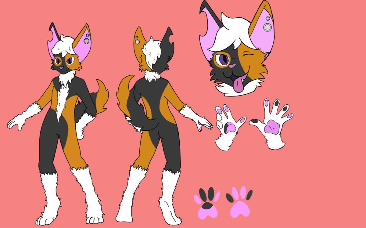 Lionmaneworkshp's tweet photo. @griverthecoyote I got one!! https://t.co/dF8gUaMGsM