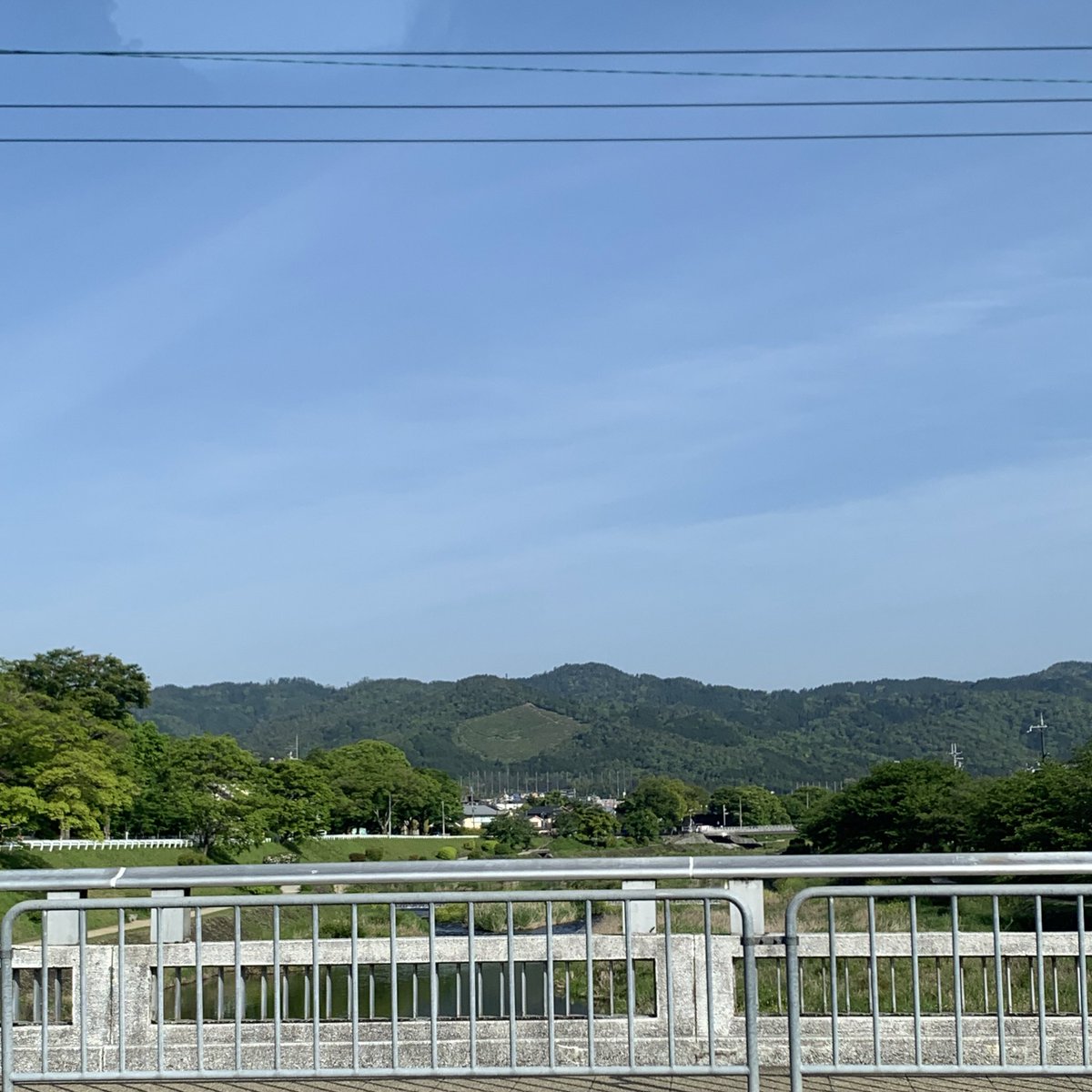 RisingKyoto's tweet photo. おはようございます✨
京都はとても気持ちのいいお天気🥰
#保護猫を家族に がトレンド入りしてました！我が家にもイケメンの保護猫がおります🐱
金曜日、溜まった���れが少しでも癒されますように🐱置いていきます^･·̫･̥ฅ
#京都 #企業公式が毎朝地元の天気を言い合う #はれ #明日からやすみ https://t.co/ViiEqFvZ8r