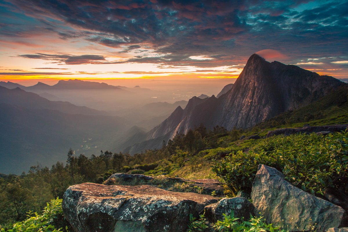 agnimax's tweet photo. Captivating sunrise from Kolukkumalai on a cloudy morning. The sun still hidden, yet the mountains and clouds bathe in a luminous golden hue. Nature and sky unite, crafting a spellbinding ambiance. Behold the magic of colors and clouds, embracing the dawn with wonder.

gm🤗 https://t.co/L5KHGkKR2e