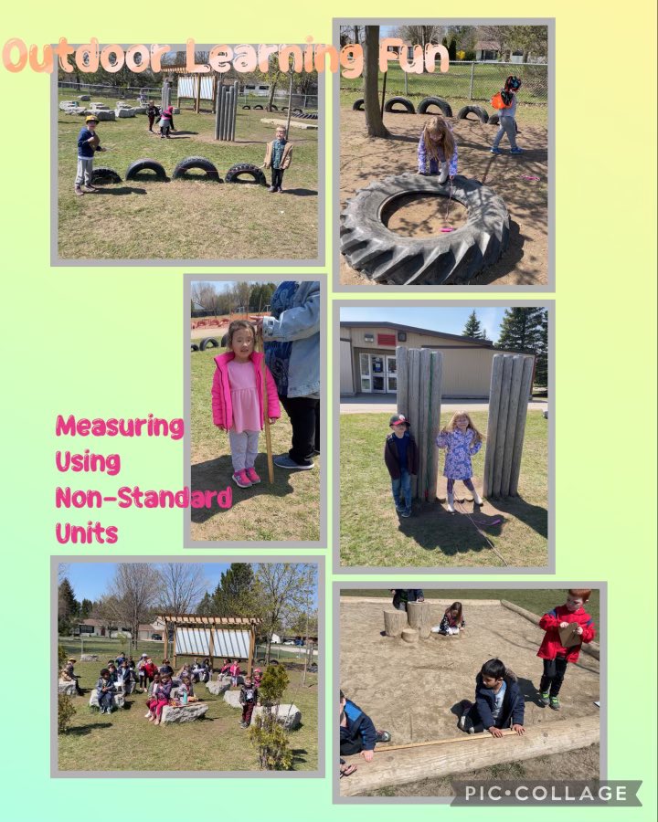 sjfgator's tweet photo. It was a beautiful day to use the outdoor classroom to measure objects in the primary playground using non-standard units. Everyone had a blast! #OutdoorLearningFun https://t.co/bF6KZxqwr2