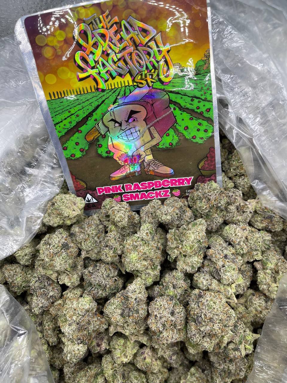 HIGH TRAP EXOTICS (hightrapexotics) / Twitter