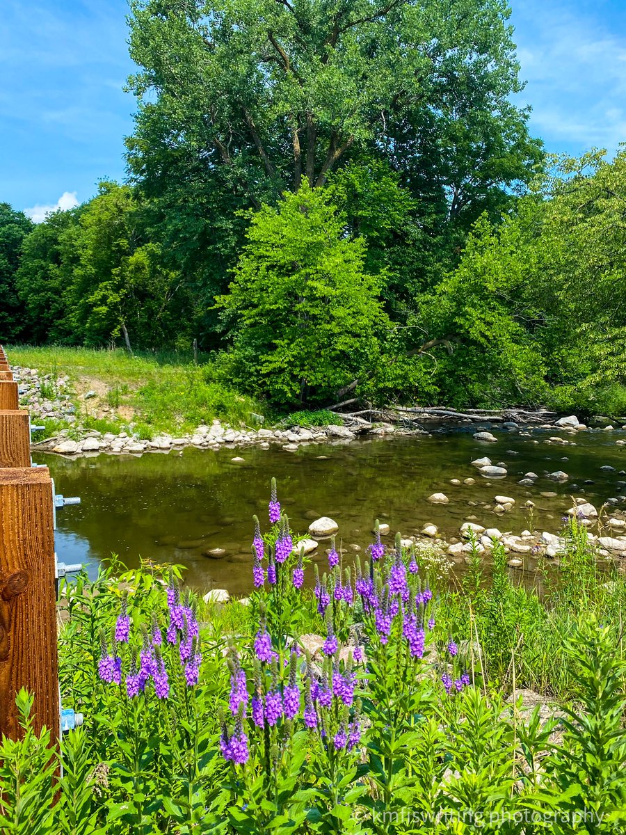 kmf116's tweet photo. Minnesota’s known for lots of bodies of water. You’ll find a spring-fed swimming pond, a lake, and a river / designated trout stream at Camden State Park in Lynd, Minnesota.
Learn more: https://t.co/FnEmZo84hg #hiking #fishing #mnstateparks #minnesota https://t.co/M3ynGlXttB