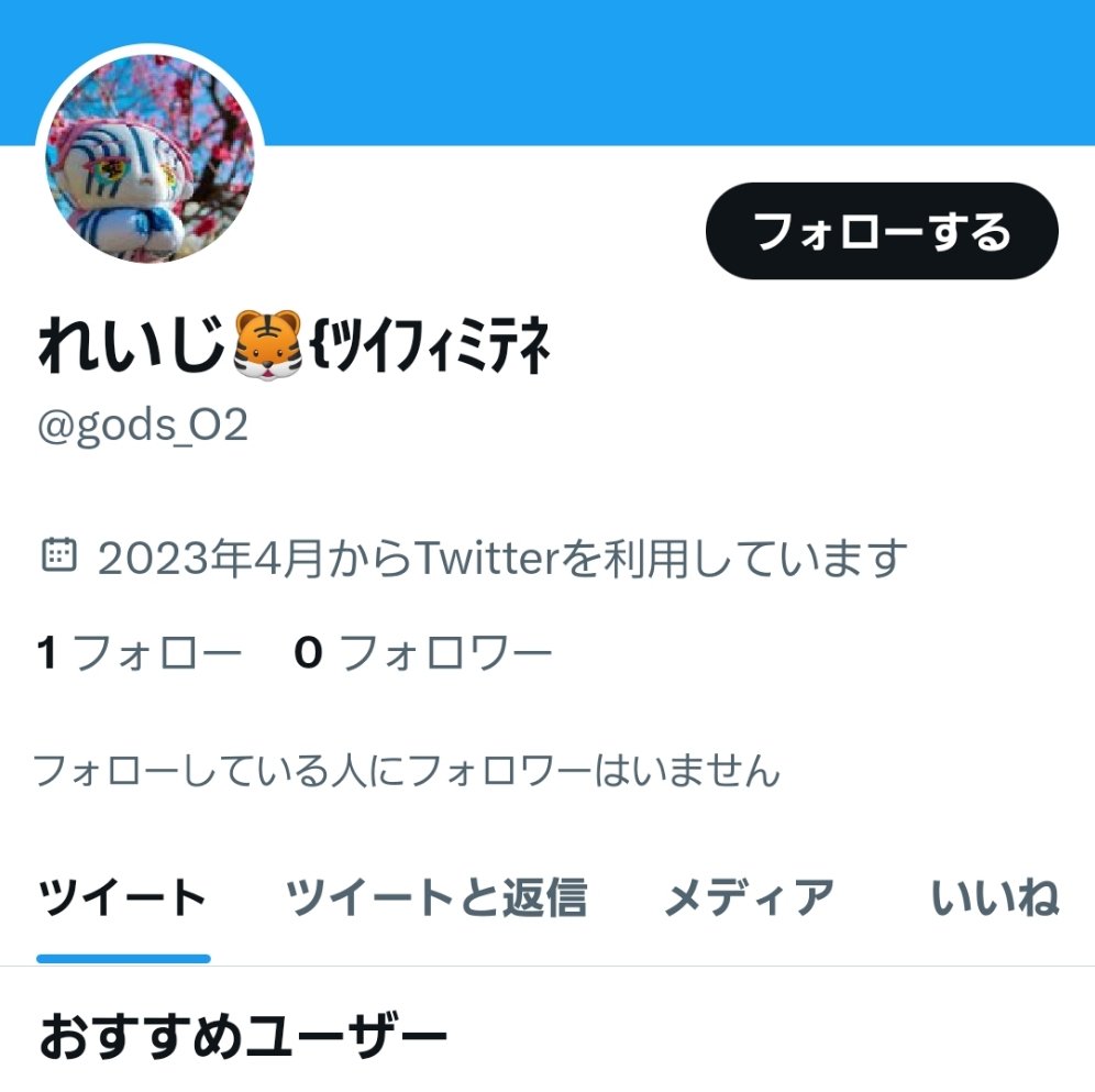 れいじ🐱 tweet media