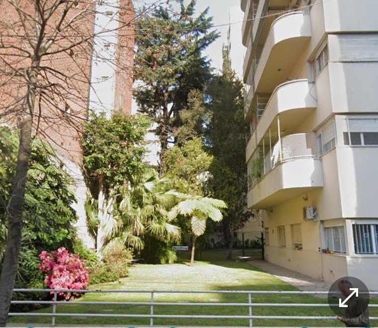 MarMarZeta's tweet photo. #taxojueves de #Polypodiopsida
En el regio edificio racionalista de Echeverría al 2800 (1938) de los arquitectos Birabén y Lacalle Alonso, tienen un lindo helecho arborescente (captura de googlemaps). Desconozco id https://t.co/EJDwYsppZc