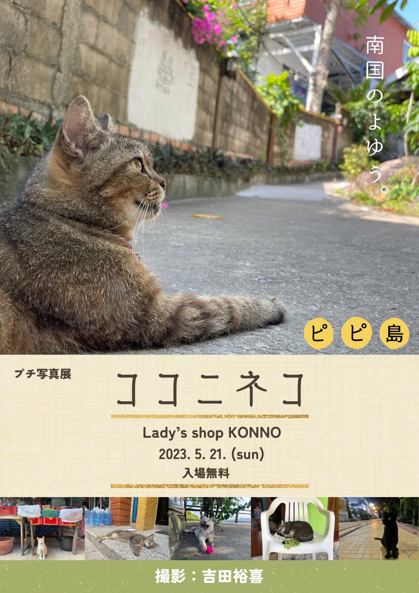 apple_boy1997's tweet photo. 初めての個展をやります。

場所：Lady’s shop KONNO 
日付：5月21日(日)
時間：10時〜17時

※入場無料

刺繍作品と、タイのピピ島で出会った猫の写真を展示します🐾 https://t.co/smLGNGqs19