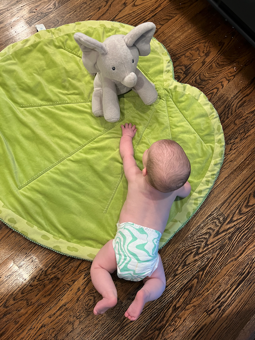 #IversonFlair loves <a href="/freestyleworld/">Freestyle</a> diapers so much!  Get $10 off with my referral link: freestyle.refr.cc/leahschultzs?t…