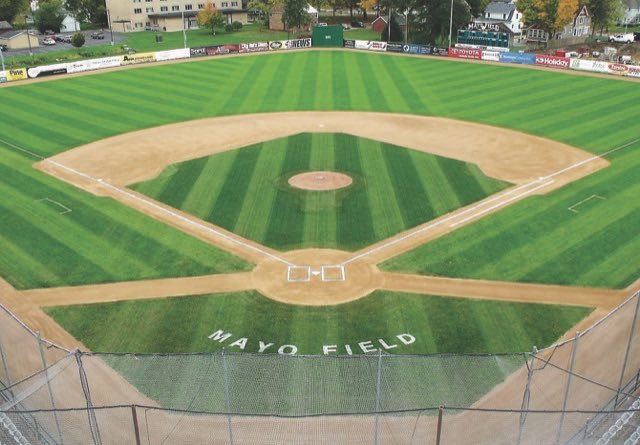 Matteo Finocchi tweet media