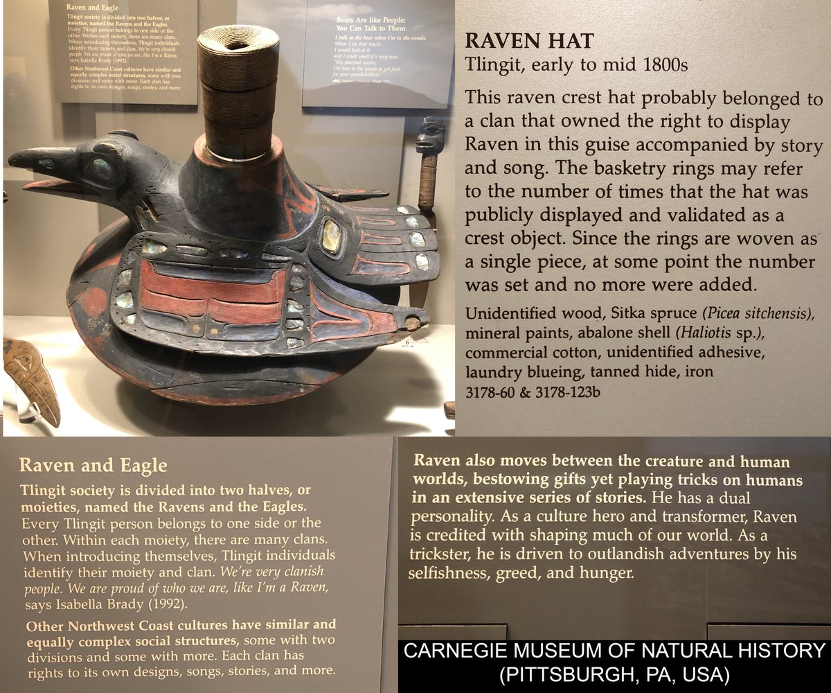 ArtHistAnimalia's tweet image. For #CrowAndRavenAppreciationDay:
Raven Hat, Tlingit (Pacific NW Coast), early-mid 1800s. @CarnegieMNH display.
“#Tlingit society is divided into 2 moieties, the #Ravens and the Eagles.”
(Note: it’s more broadly Raven/Crow and Eagle/Wolf as there are regional variants)