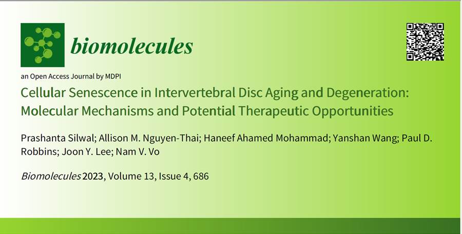 pstktz's tweet photo. Happy to share our recently published review article: "Cellular Senescence in Intervertebral Disc Aging and Degeneration: Molecular Mechanisms and Potential Therapeutic Opportunities" https://t.co/G2qj1QYwRL #mdpibiomolecules via @Biomol_MDPI https://t.co/sxLARKNqKH