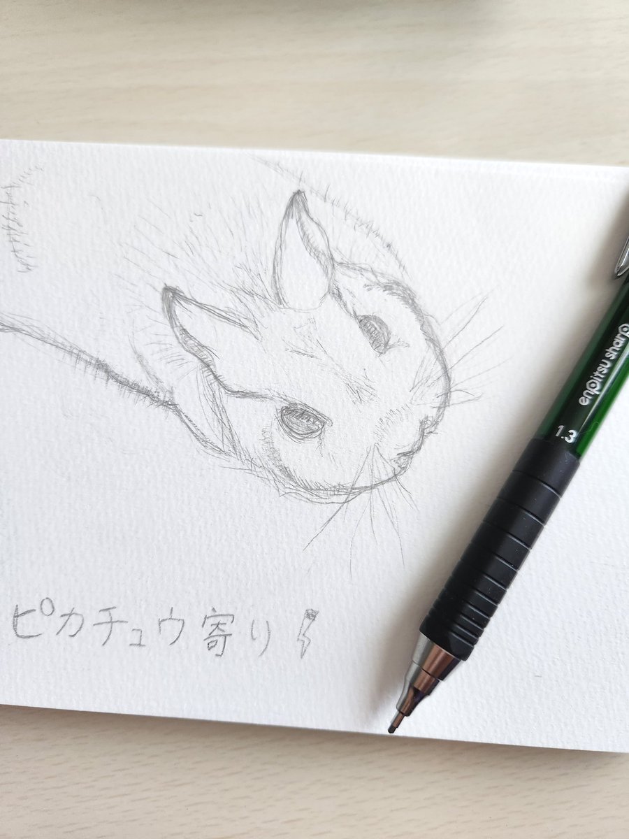 LeCMMXX's tweet photo. ピカチュウのようになってしまった我が家のうさチュウ🐇

#マルマン
#エンピツシャープ
#コクヨ
#ネザーランドドワーフ https://t.co/KrLeAYZXlU