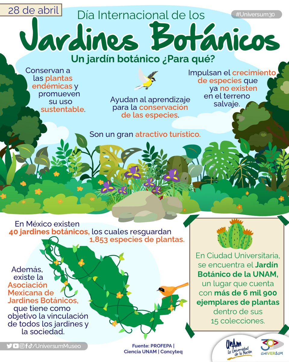 Están destinados a la conservación, investigación y divulgación de la diversidad de las especies vegetales 🌳🌱🌿

#Universum30