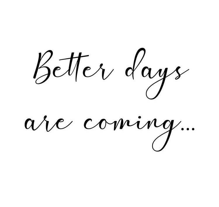 wise_chimp's tweet photo. Be patient https://t.co/QoMjZWZOle