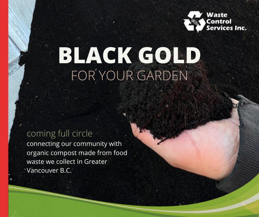 Perfect day for some gardening! 🌱 Top quality compost now for sale at our WCS Depot: 1493 Dominion St, North Van, Mon-Sat 9am-3pm.⁠ Your food waste come full circle! ♻️ bit.ly/444reLj

#OrganicCompost #Gardening #Soil #NorthShoreGardeners #NorthShore #NorthVan #WestVan