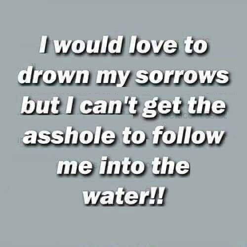 tfiona60's tweet photo. #GotToLaugh ๐คฃ๐๐ #GoodNightTwitterWorld ๐ฅฑ๐ด x https://t.co/OxAr0HKN75