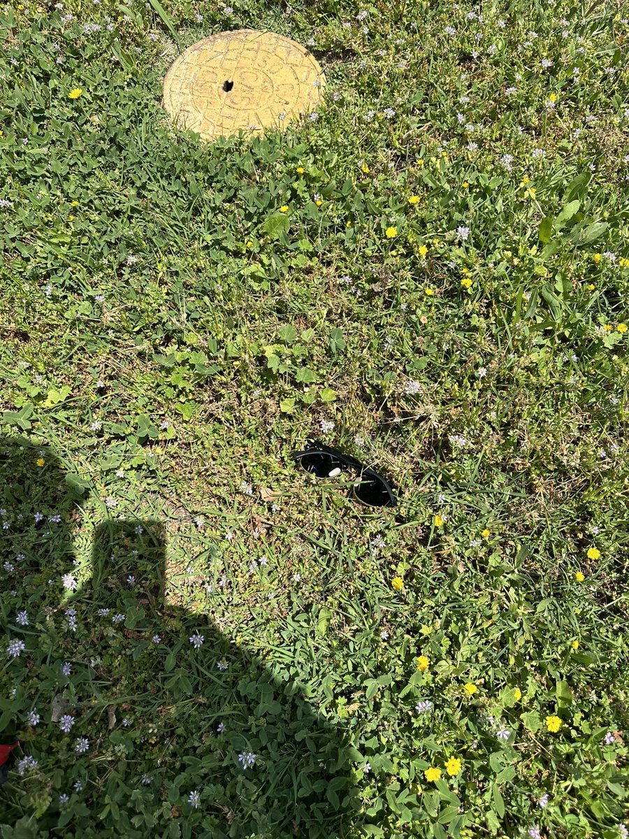 collindavis__'s tweet photo. Was looking for my sunglasses and this is where they were all day https://t.co/Ss5VVclNg9