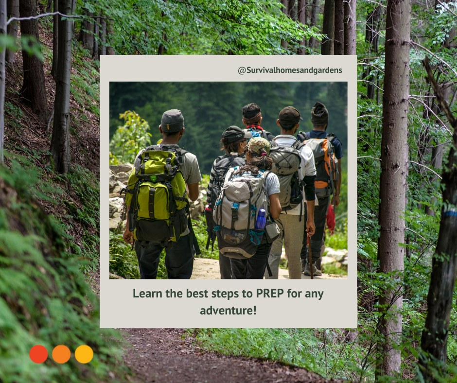 Survival Homes and Gardens tweet media