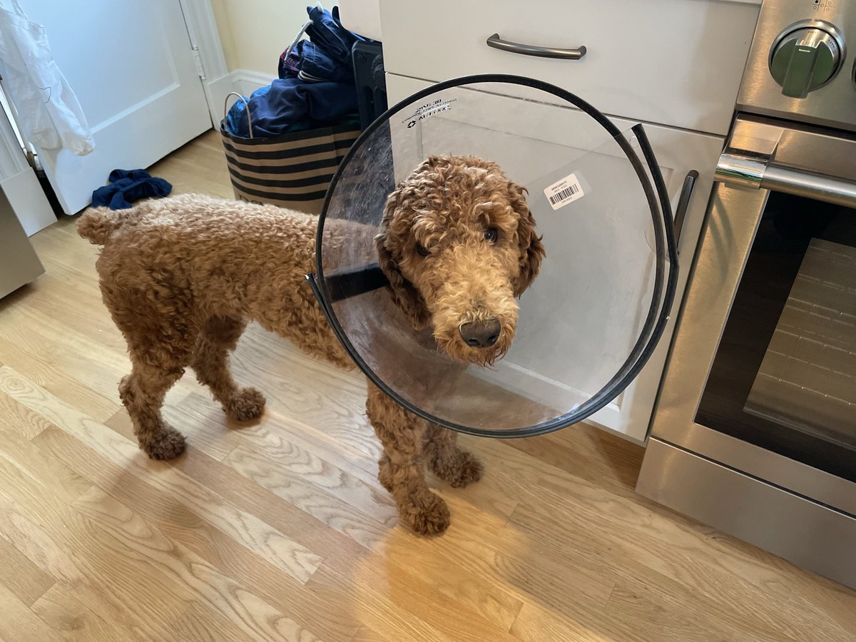 Kathleen McNerney tweet media