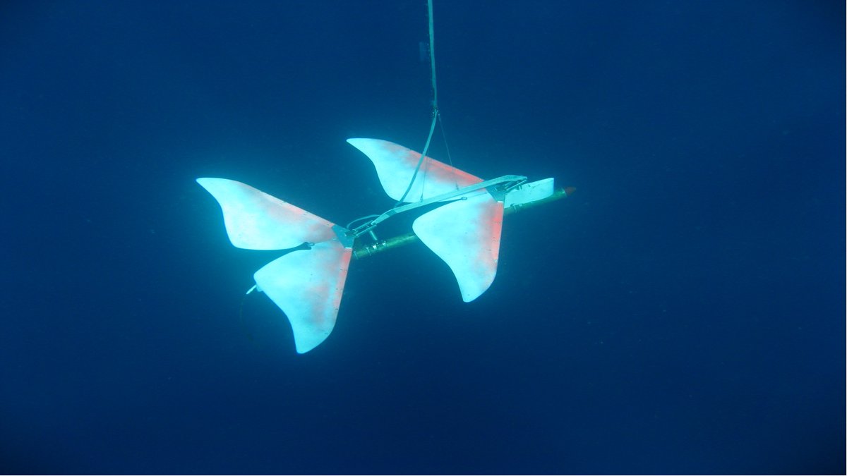 LiquidRobotics's tweet photo. #TBT The Wave Glider’s sub has come a long way since this very first iteration in 2006. An essential component of the Wave Glider, the sub harnesses wave energy for forward propulsion. These here are mimicking the shape of nature 🐳 #trueinnovation #USV #waveglider #teamboeing https://t.co/v72tclxsUG