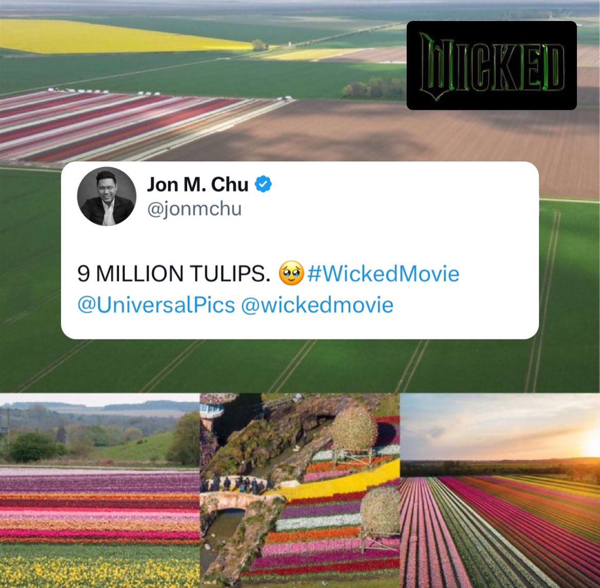 tour121of's tweet photo. Se plantaron 9 millones de tulipanes para las escenas de campo en 'Wicked' en lugar de usar CGI. @jonmchu 

#wicked #wickedmovie #tulips #tulipanes #tour121 https://t.co/NIKXbqzePh