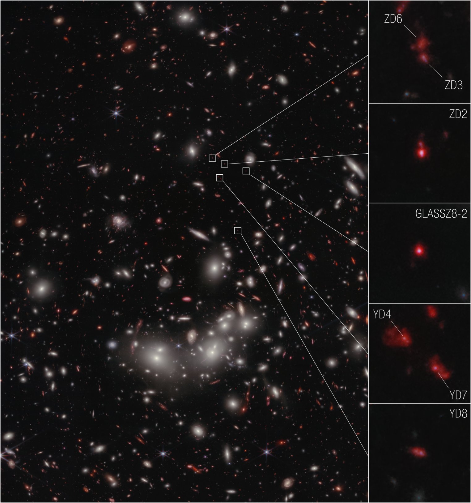 The left side of this image features various galaxies colored orange, red and white on a black background. Most of the white galaxies have a hazy halo. A prominent, glowing group of larger white galaxies appears below center. In the top half, five small white squares highlight very faint and tiny red galaxies that would not stand out otherwise, with lines radiating from the small squares to a stacked column of five squares on the right side of the image. This column provides a zoomed-in view of seven specific galaxies, all appearing as red smudges or dots. The top square shows two galaxies labeled ZD6 and ZD3. The next square down shows a galaxy labeled ZD2. The third square down shows one galaxy labeled GlassZ8-2. The fourth square down shows two galaxies labeled YD4 and YD7. Finally, the bottom square shows one galaxy labeled YD8.