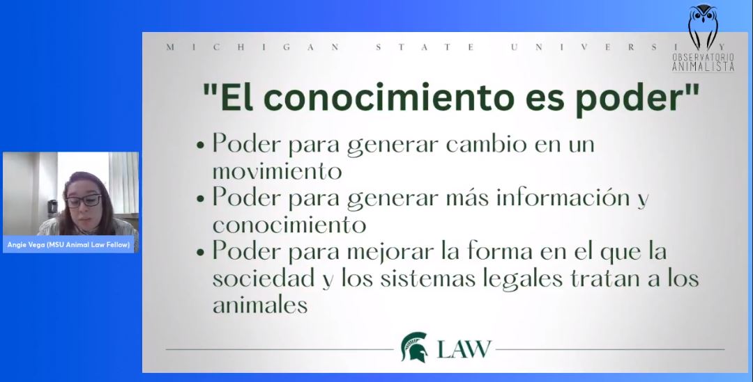 ObsAnimalista's tweet photo. Nuestra tarea es brindar las herramientas e información para que, no solo los abogados, sino la comunidad, investigadores, etc., tengan información veraz y seria, y así, generar el cambio. https://t.co/kY1HAuR7ad