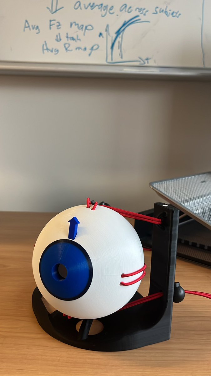 Maximilian U. Friedrich tweet media