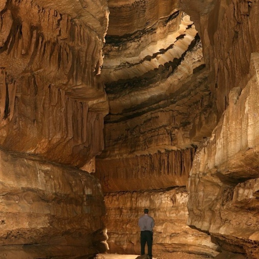 Ranger Ready Repellents tweet media