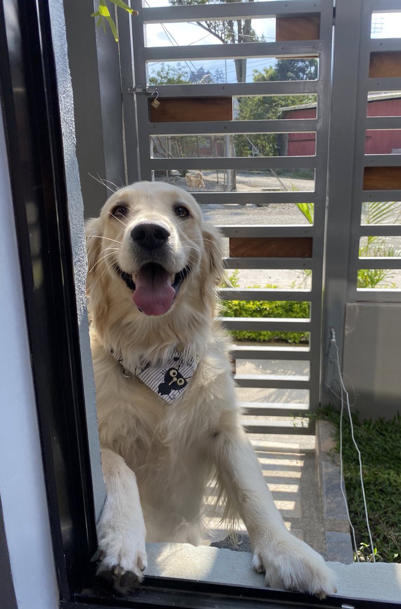 mis buenos días 😍