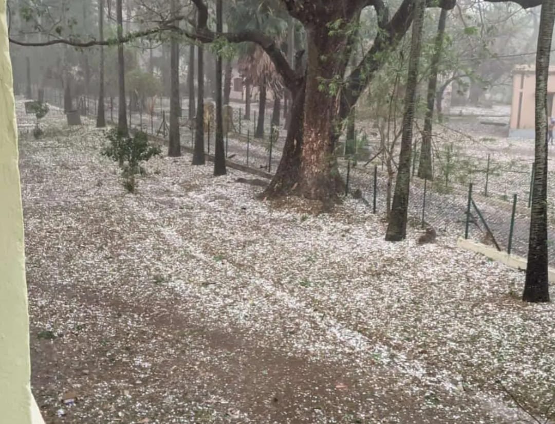 CycloneAnalyser's tweet photo. #Bagula in Gangatic #WestBengal recorded 83 mm of heavy rain, #hailstorm observed at #Bolpur, #Chakdah, #Howrah
Pic - Hailstorm in Bolpur https://t.co/EfLIge251J