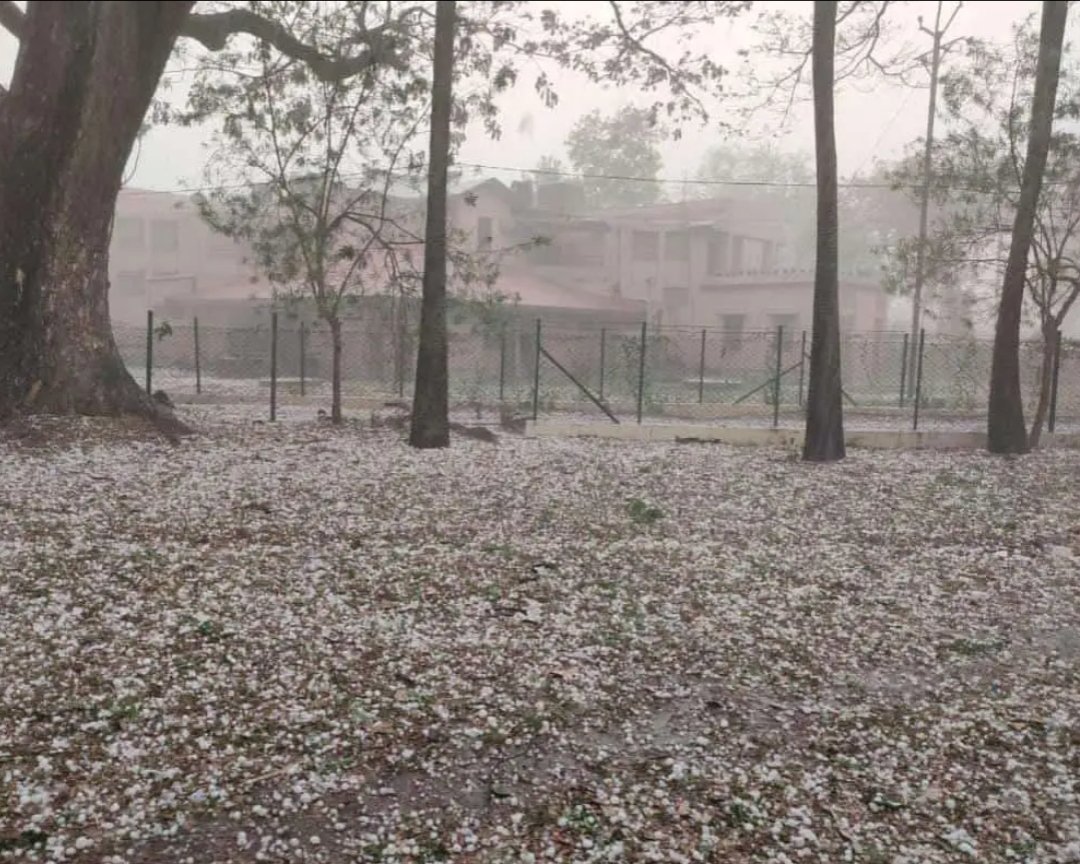 CycloneAnalyser's tweet photo. #Bagula in Gangatic #WestBengal recorded 83 mm of heavy rain, #hailstorm observed at #Bolpur, #Chakdah, #Howrah
Pic - Hailstorm in Bolpur https://t.co/EfLIge251J