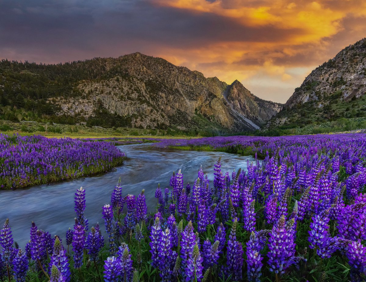 Carter Murphy 🏔️ tweet media