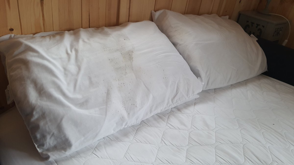 katherine_syred's tweet photo. @ExpediaUK #uncomfortablestaygardenshed ref: 72525396591230 Property not as described: no stove, sofa bed unable to sleep, mouldy pillows. Refund refused and rude reply from owner by email: ""It is a shepherd's hut not the bleeding Rotz."
Request refund for 2 nights. https://t.co/NK8rxbMjHl