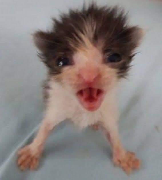 me begging u all to attend the social night happening rn in the station (we are watching the documentary meet me in the bathroom)