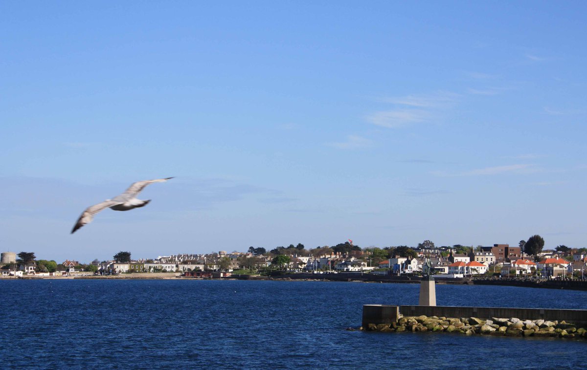 Don Cameron tweet media