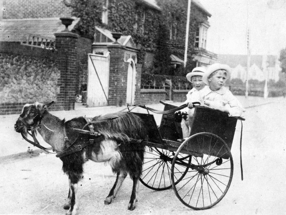 A gorgeous spring weekend calls for a casual ride in your goat wagon 🐐

📸: <a href="/BCArchives/">BC Archives</a> Item H-04885 - Children in a goat wagon