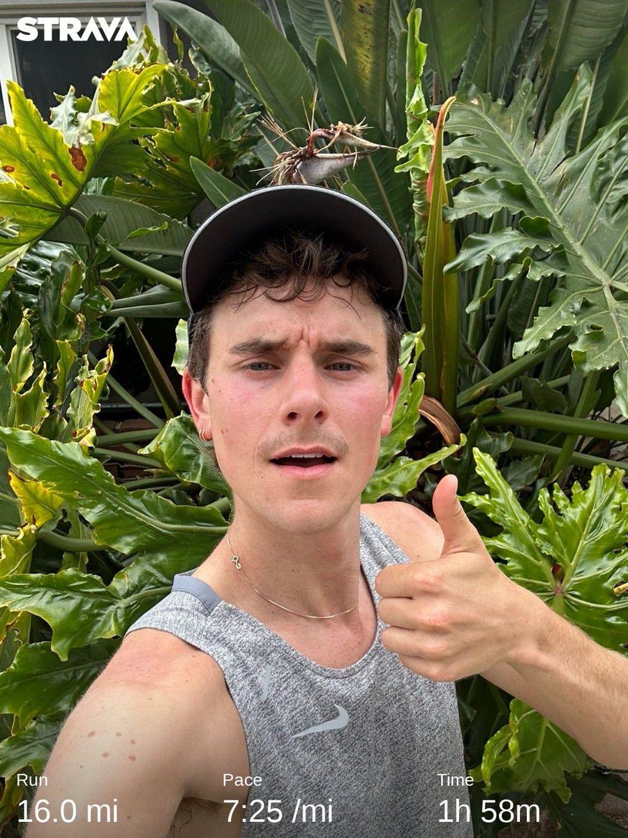 Connor Franta tweet media